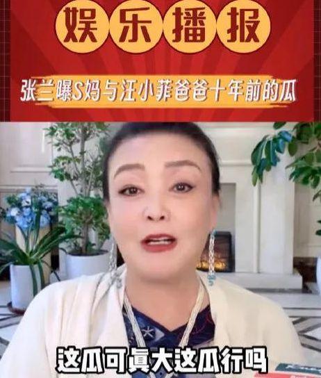 张兰爆料汪大爷视频播放,真相与争议 第2张 张兰爆料汪大爷视频播放,真相与争议 第2张